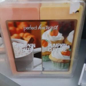 Jumbo 24 Wax Melt Duo Package Pumpkin Cupcake + Pumpkin Latte